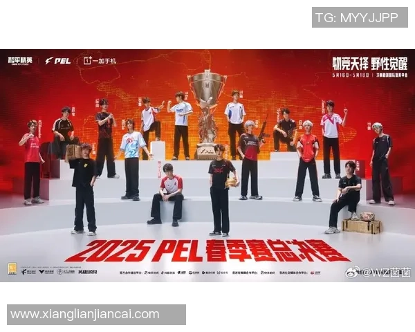 《全球电竞赛事风云变幻 聚焦顶级战队与选手的角逐与荣耀》