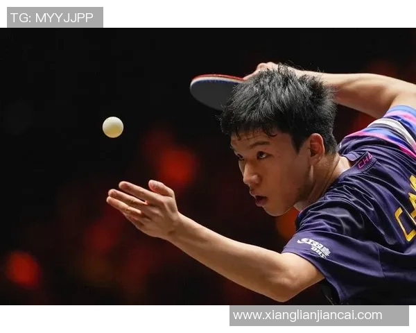 乒乓球激发全民运动热潮展现体育精神与健康生活新风貌