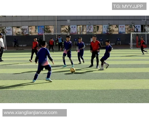 绿茵荣耀燃动青春激情探索足球世界背后的力量 绿茵荣耀燃动青春激情探索足球世界背后的力量