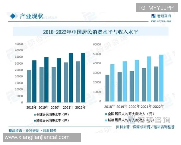 CFO与FNC的职能对比与发展趋势分析探讨